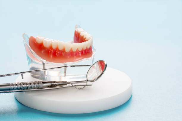 Best Veneers and Lumineers  in Chattahoochee, FL